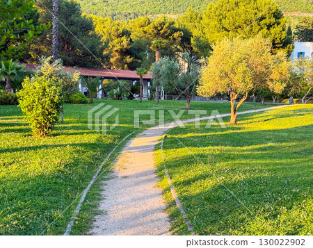 Path through green park at sunset. Evening tranquility and harmony of nature in summer landscape. 130022902