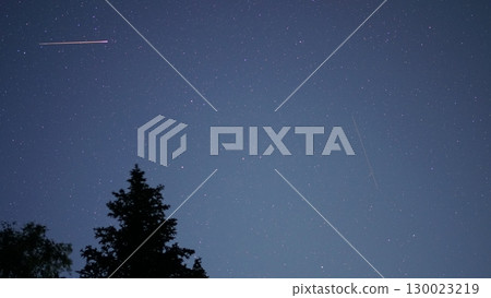 Satellite crossing starry night sky with pine trees silhouette 130023219