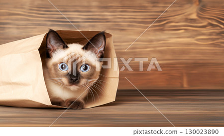 Curious siamese kitten inside brown paper bag on wooden floor 130023890