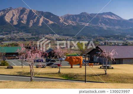 <熊本縣> 阿蘇和阿蘇房町久木野的全景 130023997