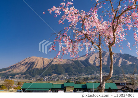 <熊本縣> 阿蘇和阿蘇房町久木野的全景 130024005