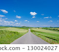 Biei, Hokkaido - Hills and a single road 130024027