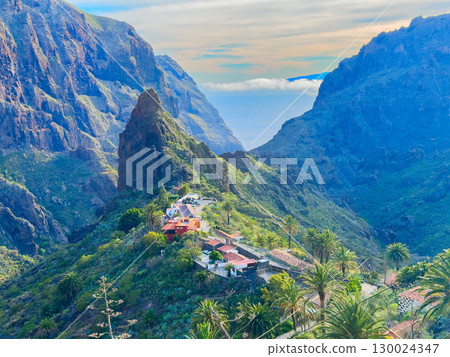 Wild nature of Teno 130024347