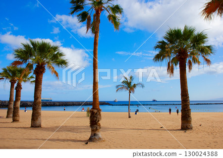 palms of las Teresitas beach, Tenerife, Spain 130024388