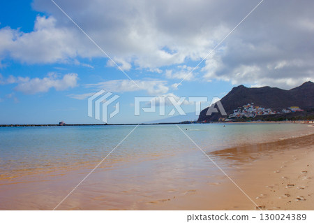 palms of las Teresitas beach, Tenerife, Spain 130024389