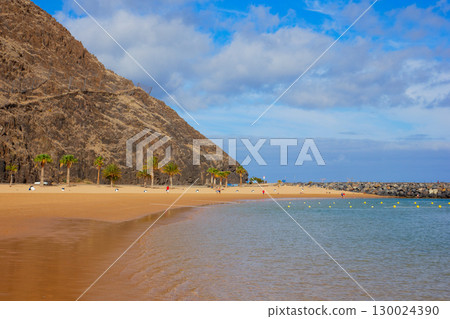 palms of las Teresitas beach, Tenerife, Spain palms of las Teresitas beach, Tenerife, Spain 130024390