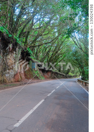 Wild nature of Anaga 130024398