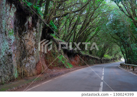 Wild nature of Anaga Wild nature of Anaga 130024399