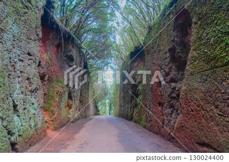 Wild nature of Anaga 130024400