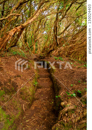 Wild nature of Anaga Wild nature of Anaga 130024403