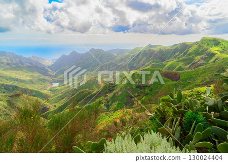Wild nature of Anaga Wild nature of Anaga 130024404