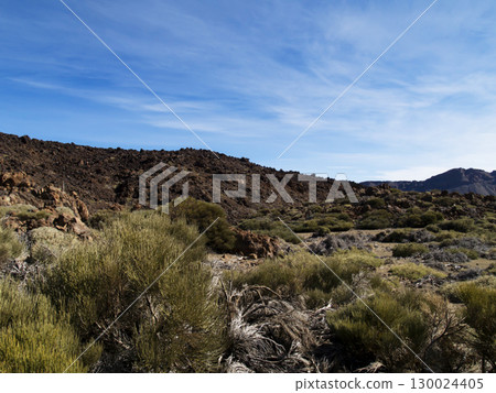 Mount Teide, Tenerife 130024405