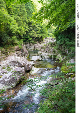 三段峽的夏天:廣島縣秋田町的一處風景優美的峽谷 三段峽的夏天:廣島縣秋田町的一處風景優美的峽谷 130025056