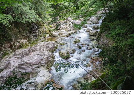 廣島縣安藝太田町夏季的三段峽 130025057