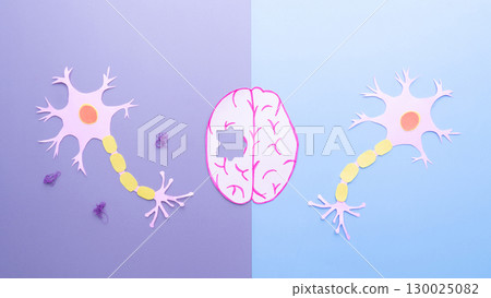 Alzheimer's disease. Comparison of neurons in a healthy brain and nerve cells in neurodegenerative disease with amyloid plaques. Human brain and neuron made from paper on violet and blue background. Alzheimer's disease. Comparison of neurons in a healthy brain and nerve cells in neurodegenerative disease with amyloid plaques. Human brain and neuron made from paper on violet and blue background. 130025082