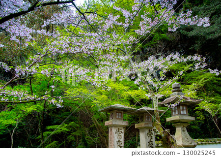 香川縣中多戶郡琴平町的發電廠金比羅山 130025245