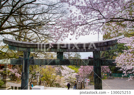 Konpira-san, a power spot in Kotohira-cho, Nakatado-gun, Kagawa Prefecture 130025253