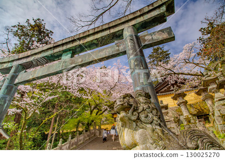 香川縣中多戶郡琴平町的發電廠金比羅山 130025270