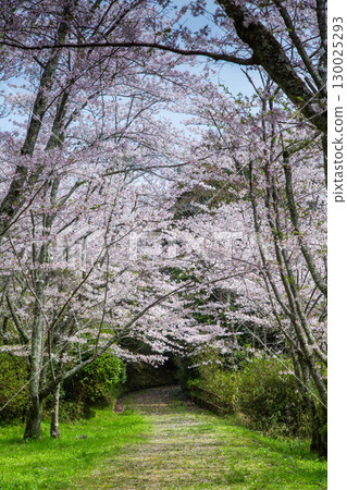 香川縣中多戶郡琴平町的發電廠金比羅山 130025293