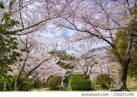 Konpira-san, a power spot in Kotohira-cho, Nakatado-gun, Kagawa Prefecture Konpira-san, a power spot in Kotohira-cho, Nakatado-gun, Kagawa Prefecture 130025299