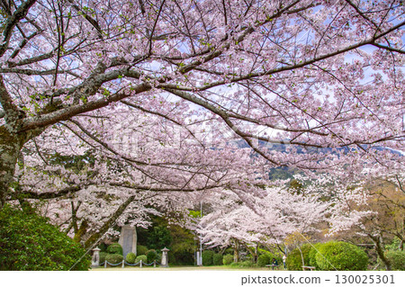 香川縣中多戶郡琴平町的發電廠金比羅山 130025301