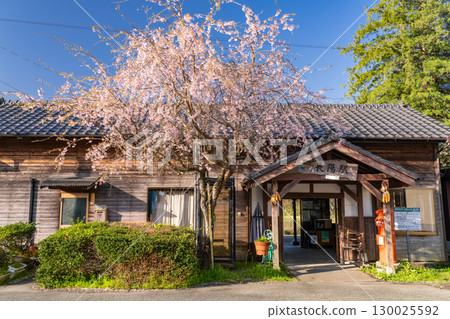 <熊本縣>櫻花盛開的懷舊車站 <熊本縣>櫻花盛開的懷舊車站 130025592