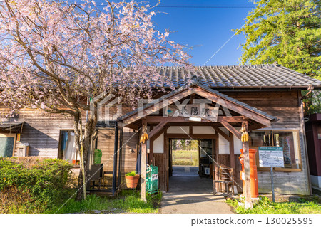 <熊本縣>櫻花盛開的懷舊車站 <熊本縣>櫻花盛開的懷舊車站 130025595