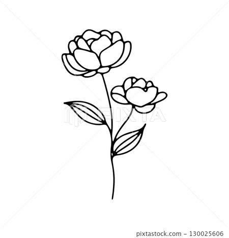 Elegant peony flower sketch featuring two blooms and delicate leaves in simple line art design Elegant peony flower sketch featuring two blooms and delicate leaves in simple line art design 130025606