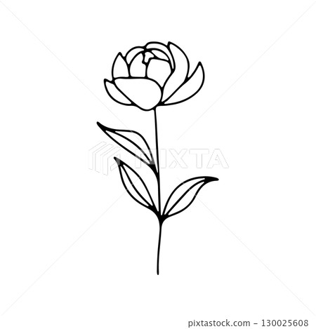 Simple black line drawing of a peony flower with leaves showcasing elegance and natural beauty 130025608