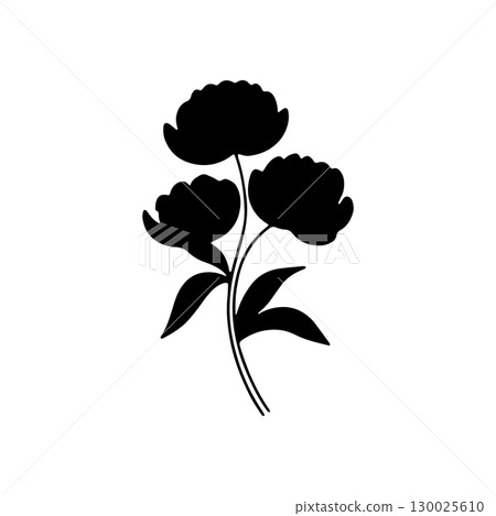 Elegant floral silhouette of three peonies resting on green leaves ideal for design and decoration 130025610