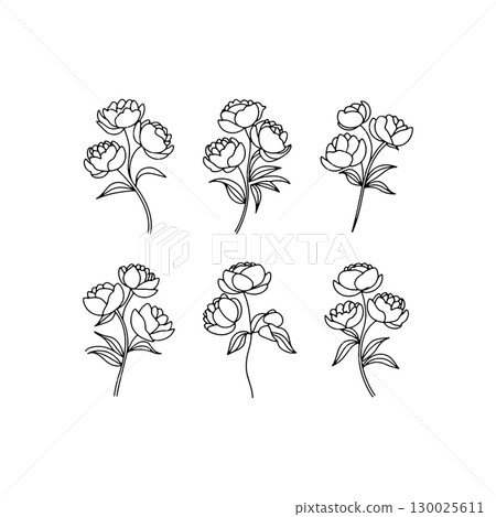 Hand-drawn floral designs featuring peony blossoms in various arrangements for artistic inspiration and creative projects Hand-drawn floral designs featuring peony blossoms in various arrangements for artistic inspiration and creative projects 130025611