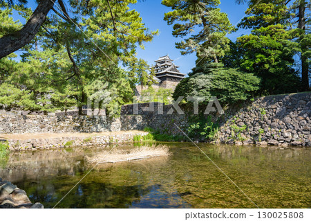 Touring the Horikawa River around Matsue Castle, Matsue City, Shimane Prefecture 130025808