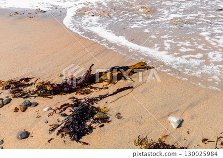 Close-up of sea shore with wave, sand, and washed seaweed 130025984