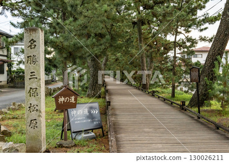 The pine trees of Miho no Matsubara, a World Heritage Site, "The Path of the Gods" 130026211