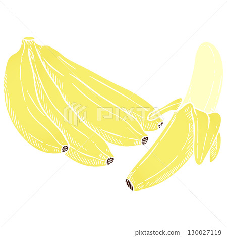 Modern Flat Style Banana Bunch Vector Illustration on White Background 130027119