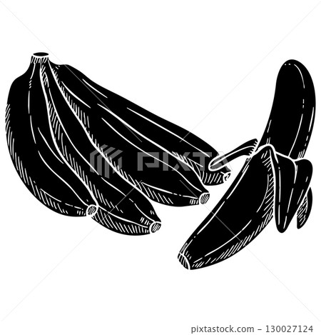 Black Line Banana Bunch Vector Illustration on White Background 130027124