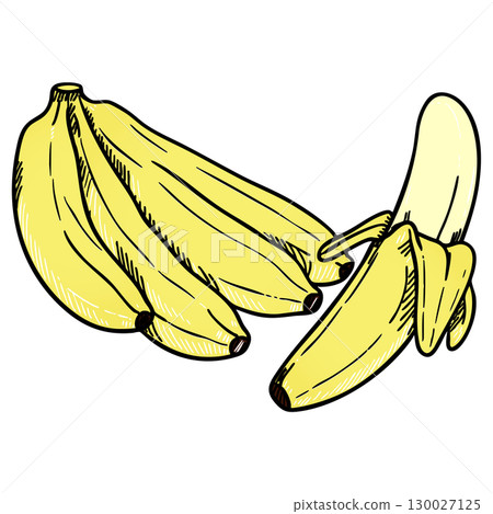Realistic Colorful Banana Bunch Vector Illustration on White Background 130027125