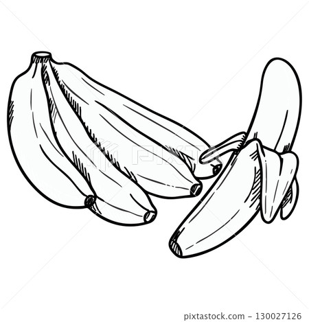 Educational Banana Bunch Vector Illustration Coloring Page 130027126
