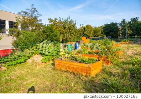 Urban community garden in Zizkov, Prague, Czech Republic. Sustainable green space with planting beds surrounded by modern apartment buildings in the heart of the city Urban community garden in Zizkov, Prague, Czech Republic. Sustainable green space with planting beds surrounded by modern apartment buildings in the heart of the city 130027165