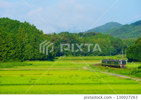 Limited Express Ashizuri (2700 series) running through the fresh greenery of the Dosan Line 130027263