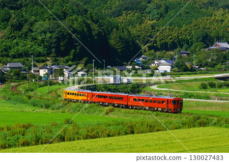 Kiha 185 series train running against a green background - Iyonada Story Kiha 185 series train running against a green background - Iyonada Story 130027483
