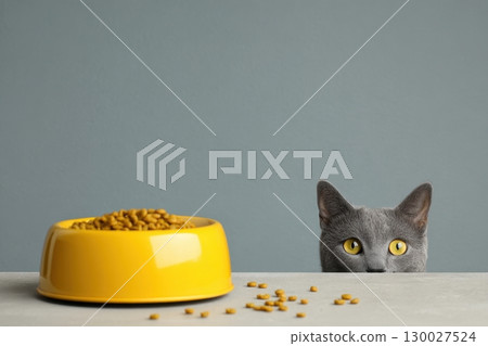 Grey cat's head peeking from table with a yellow cat food bowl dish filling scattered kibble. Plastic pet plate with a small brown pet's feeding and a gray blue cat. Pet food funny advertising banner 130027524