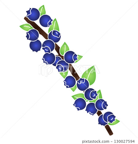 Modern Flat Style Blueberry Bunch Vector Illustration on White Background 130027594