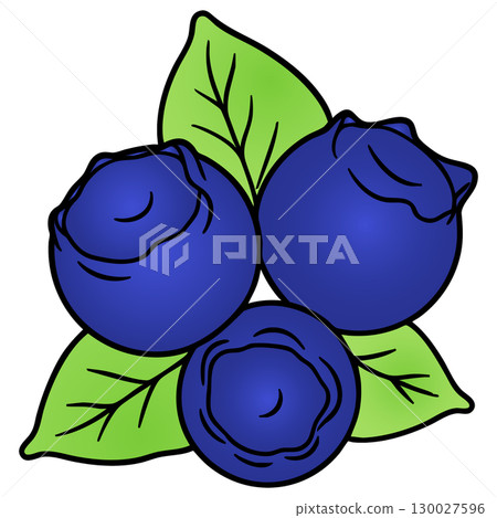 Realistic Colorful Blueberry Vector Illustration on White Background 130027596