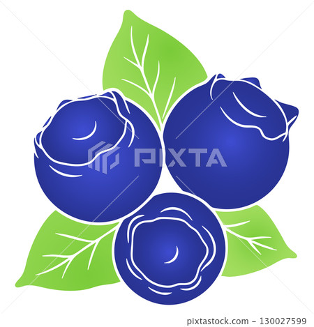 Modern Flat Style Blueberry Vector Illustration on White Background Modern Flat Style Blueberry Vector Illustration on White Background 130027599