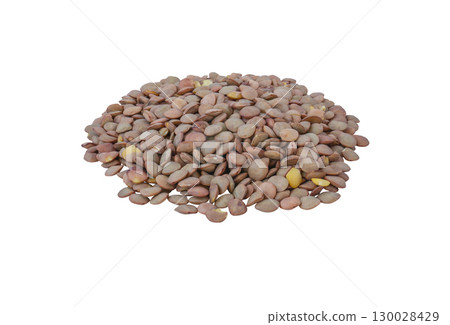 Brown lentils pile isolated on white Brown lentils pile isolated on white 130028429