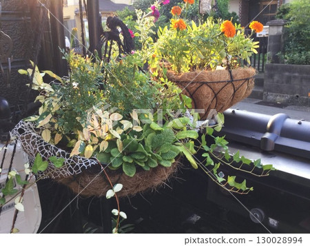 gardening  130028994
