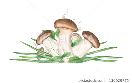 Asian edible mushrooms among chopped scallion slices watercolor illustration on isolated background. King oyster trumpet mushroom and cutting green onion. Vegan and vegetarian Asian cuisine cookbooks. 130029775