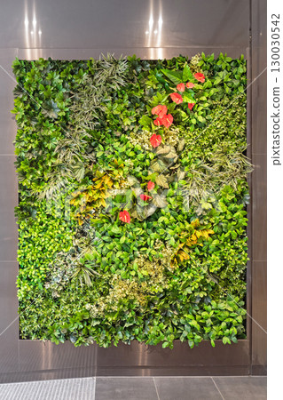 Wall Garden 130030542