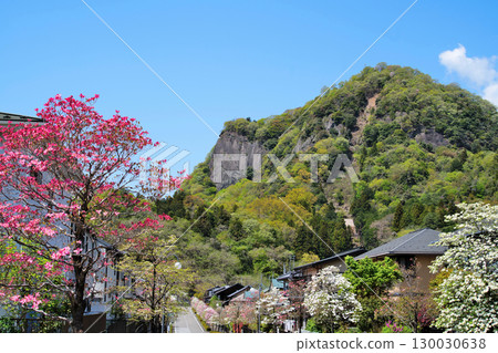 View of Iwadonoyama Castle in Kai Province, Otsuki City, Yamanashi Prefecture 130030638